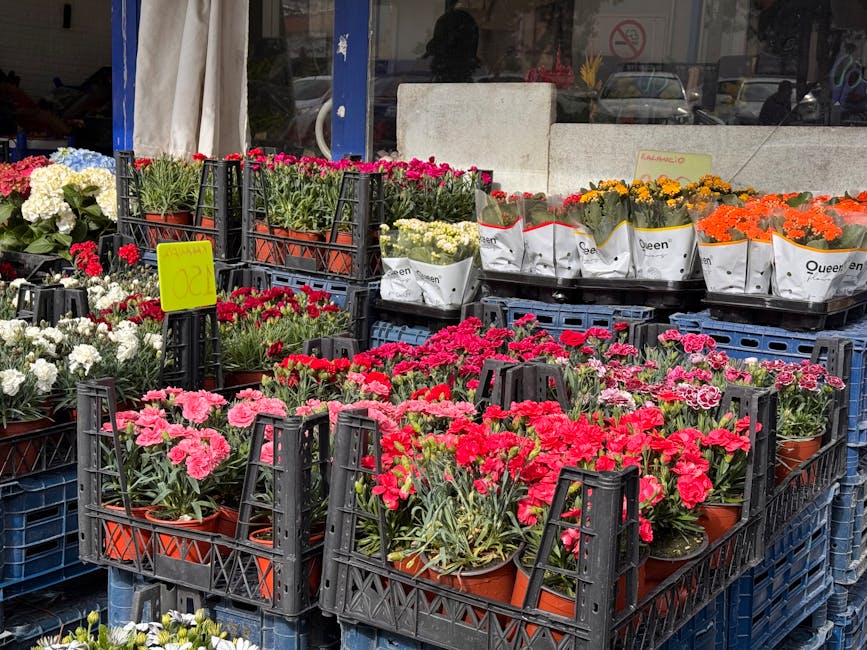 A display of potted flowers outside a flower shop with arrangements of pink, red, white, yellow, and orange blooms in terracotta pots, arranged in black plastic crates on blue pallets. The flowers inc
